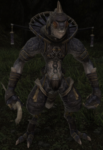 Mamool Ja Mercenary Leader