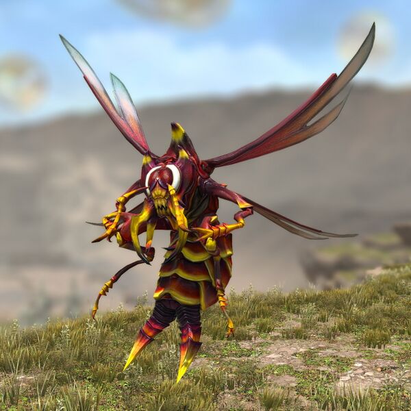 File:Crescent Gazellehawk.jpeg