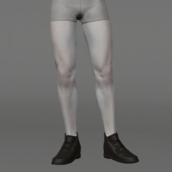 File:Handking's Shoes Male.jpeg