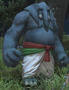 Shady Arkasodara