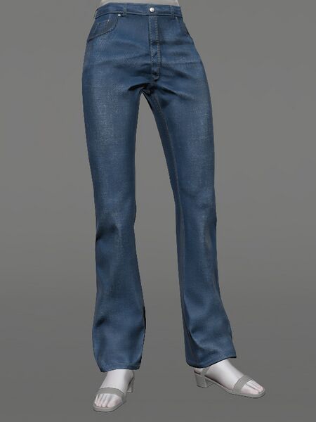 File:Bell-bottom Twill Trousers Female.jpeg