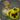 Viola seeds icon1.png