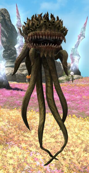 File:Aggrieved Anemone.jpg