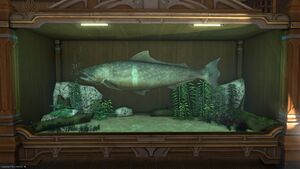 A Giant Takitaro in a Tier 4 Aquarium.