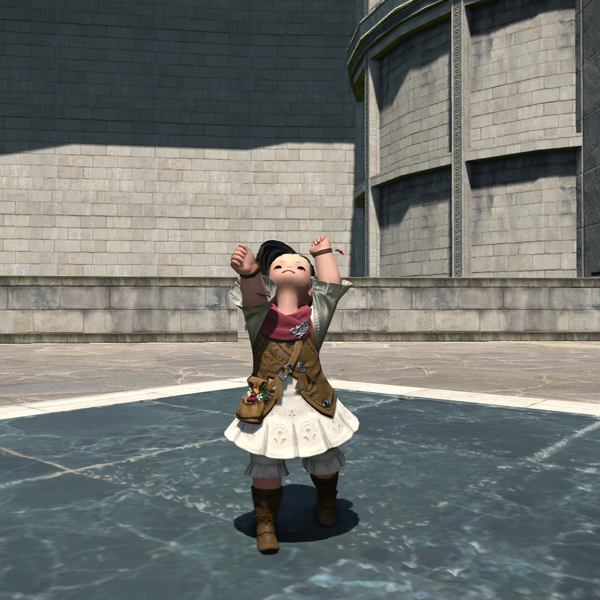 File:Rally Emote.png