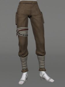 Successor's Breeches