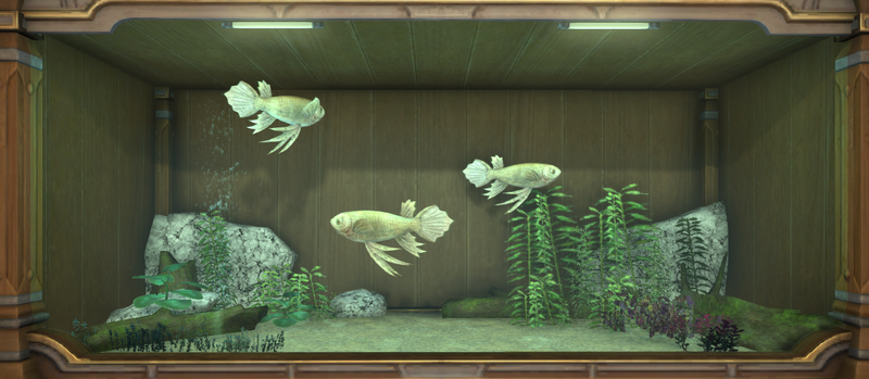 File:Orn Butterfly tank 1.png