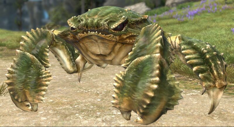 File:Spawning Megalocrab.jpg