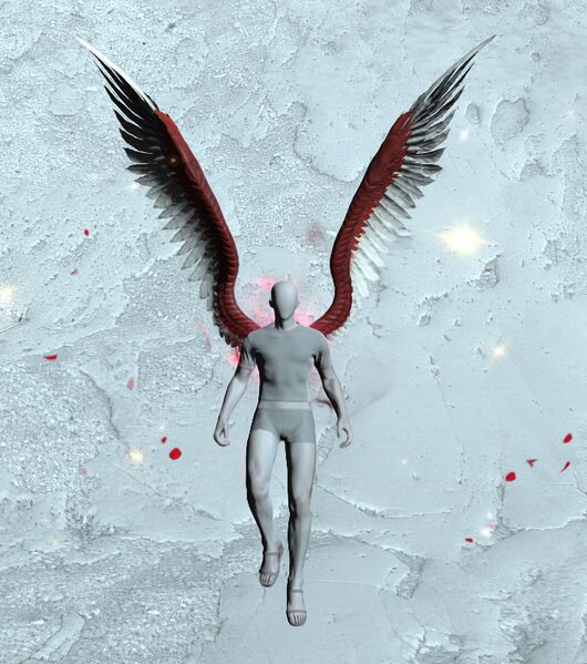 File:Wings of the Knighthood.jpg