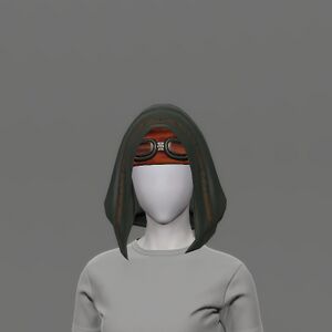 Successor's Hood