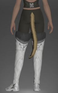 Void Ark Boots of Aiming rear.png