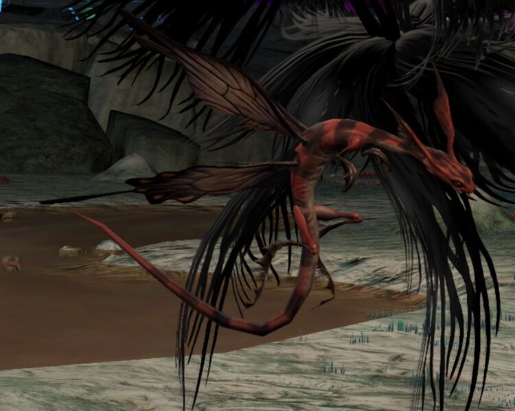 File:Territorial Stellar Dragonfly.jpg