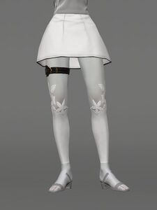 En Fortune-teller's Skirt