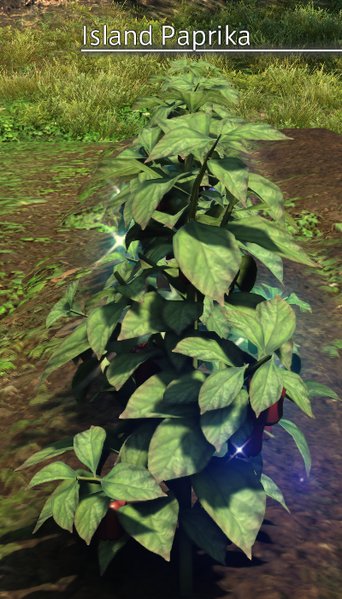 File:Island Paprika Mature.png