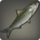 Kitty herring icon1.png