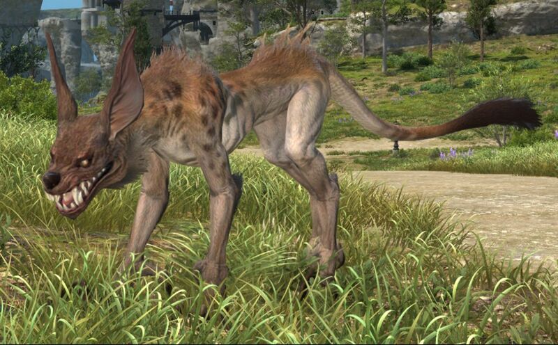 File:Pack Jackal.jpg