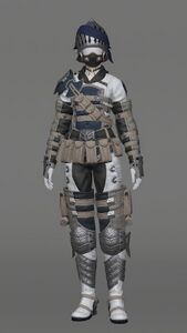 Royal Volunteer's Attire of Fending