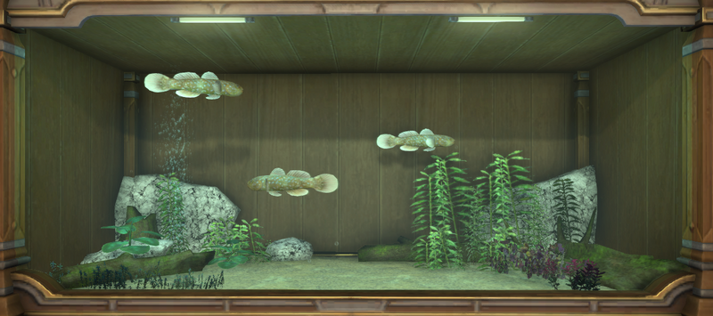 File:Idle Goby tank 1.png