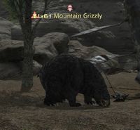 Mountain Grizzly.jpg