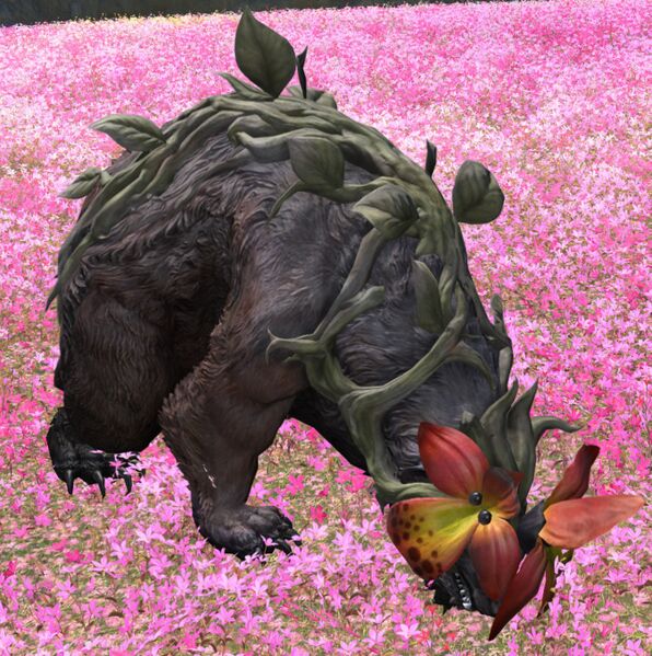 File:Ravenous Rosebear.jpg