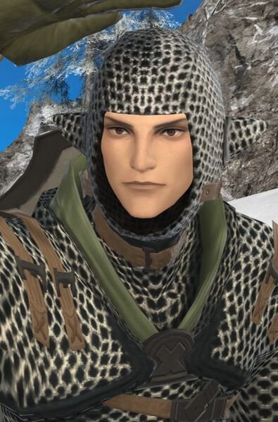 File:House Haillenarte Guard.jpg