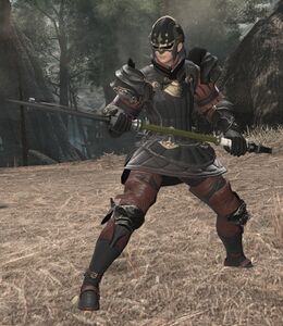 Imperial Laquearius