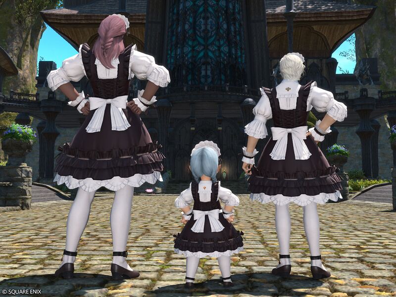 File:Loyal Housemaid's Attire3.jpg