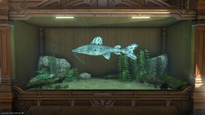 A Cavalry Catfish in a Tier 4 Aquarium.