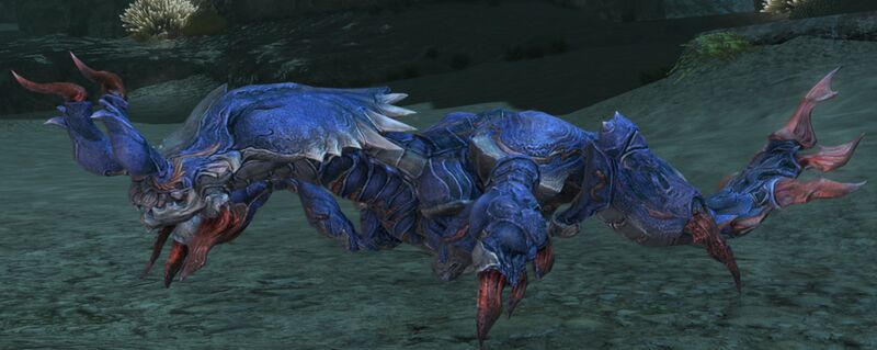 File:Spawning Mantis Shrimp.jpg