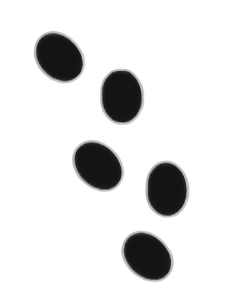 File:Cait Foot.png
