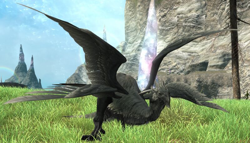 File:Equable Amaro.jpg