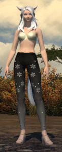 Starlight Tights front (female).png
