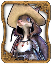 Memeroon Card