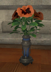 Orange Violas.png