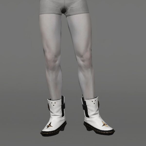 File:Vibran Princess's Bootlets Male.jpeg