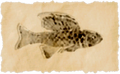 Thumbnail for version as of 11:53, 2 June 2026