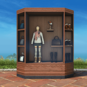 Designer's Show Window