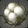 Island Cotton Boll