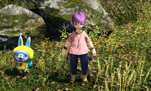 Minion Enthusiast