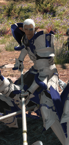 Ser Paulecrain Coldfire