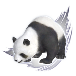 Mystic Panda