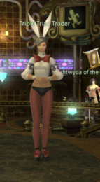 Triple Triad Trader The Gold Saucer.PNG