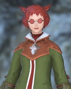 Well-traveled Miqo'te