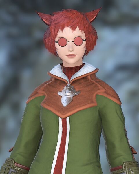 File:Well-traveled Miqo'te.jpeg