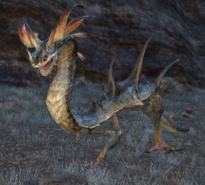 File:Alpha Basilisk.jpg