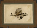 Thumbnail for version as of 19:01, 12 May 2026