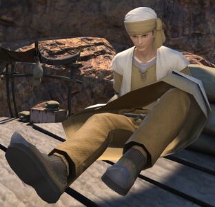 During the FATE Attack on Highbridge: Denouement
