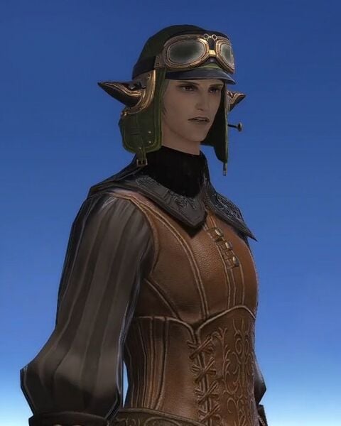 File:Candid Skyfarer.jpg