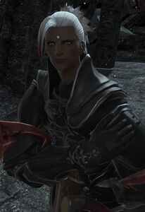 The Emperor's Personal Guard