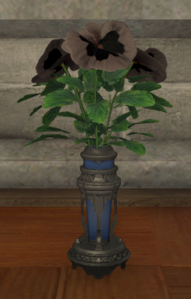 Black Violas.png